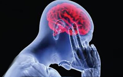Relación emocional y Órganos: Cerebro