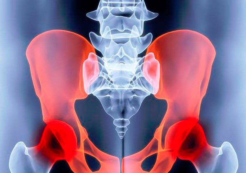 PARTE INFERIOR DE LA ESPALDA