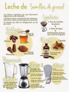 extraordinaria leche de semillas de girasol