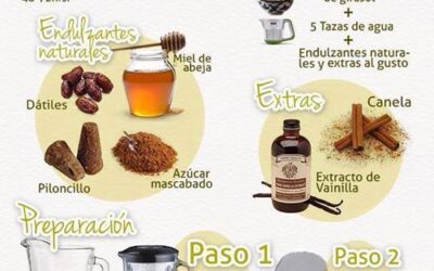 Sensacional leche de semillas de girasol