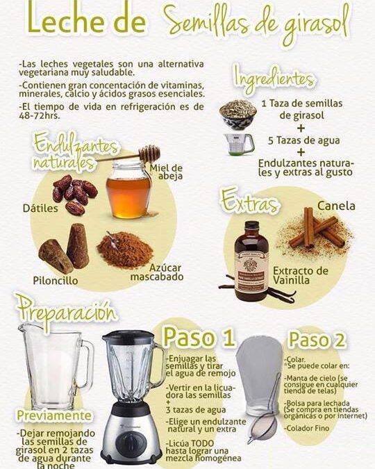 Sensacional leche de semillas de girasol