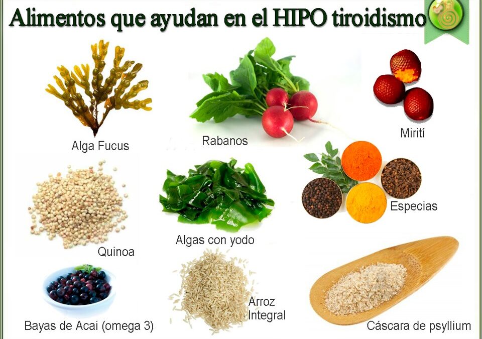 TRATAMIENTO NATURAL DE HIPOTIROIDISMO (1)