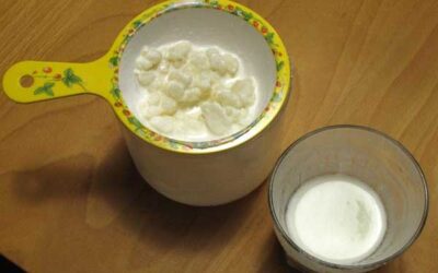 Como hacer Kefir en 10 pasos