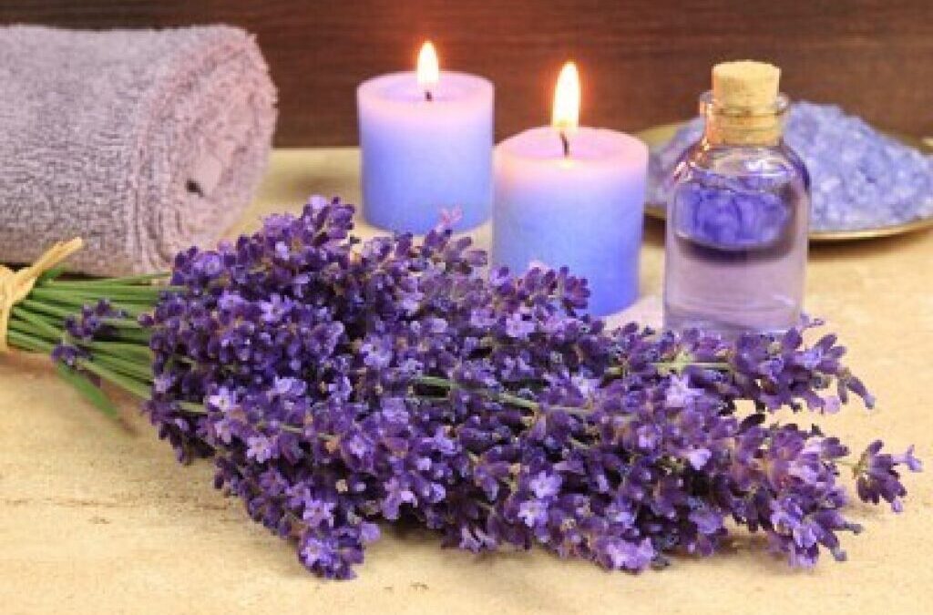 PERFUMA TU HOGAR CON LAVANDA