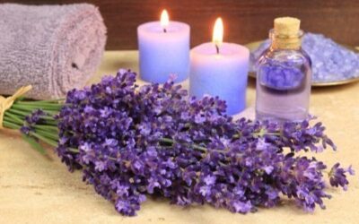 PERFUMA TU HOGAR CON LAVANDA