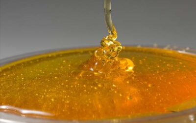 CURA DE MANZANA PARA LA HIPOGLUCEMIA
