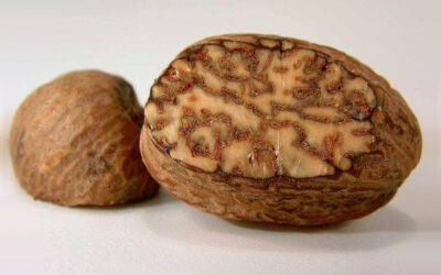 Nuez moscada: sus propiedades