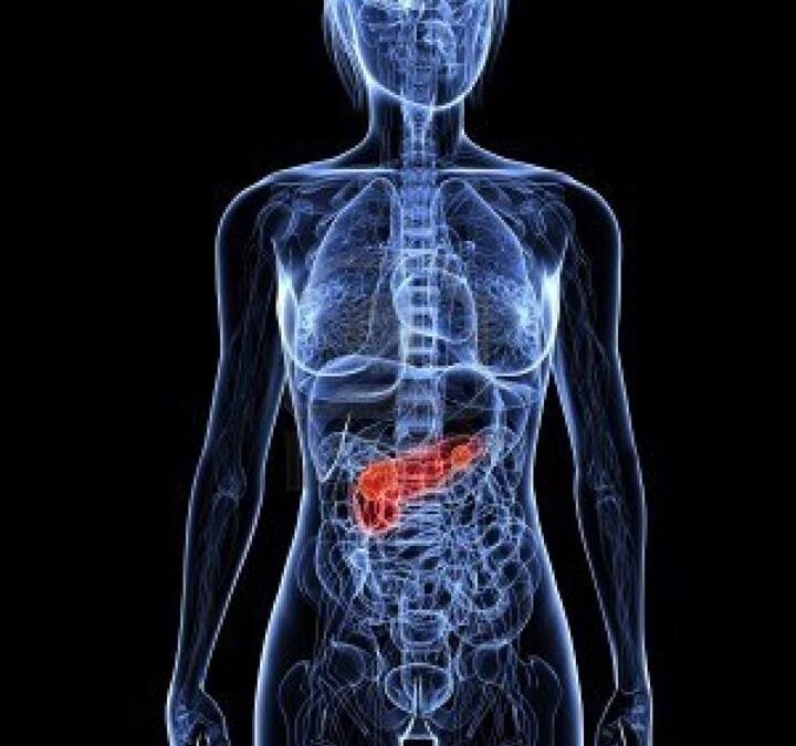 Páncreas: Relación Emocional