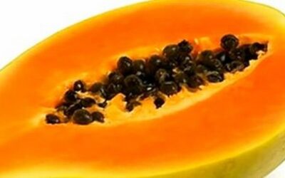 Papaya, aplicaciones terapéuticas