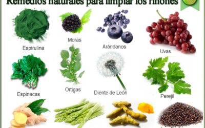 ¿TIENES BUENOS RIÑONES?