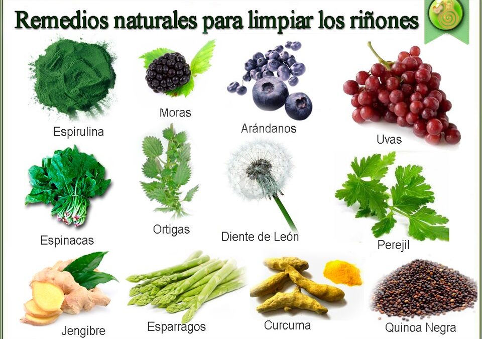 ¿TIENES BUENOS RIÑONES?