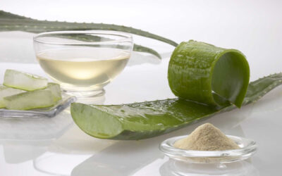 La sábila es uno de los remedios naturales para la colitis