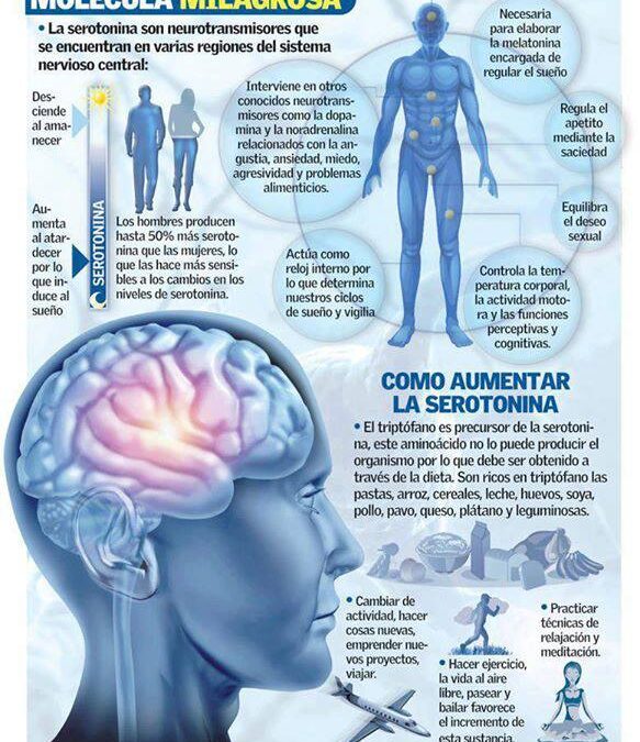 La Serotonina y el placer