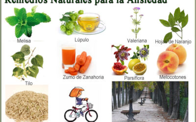 Remedios Naturales para la Ansiedad