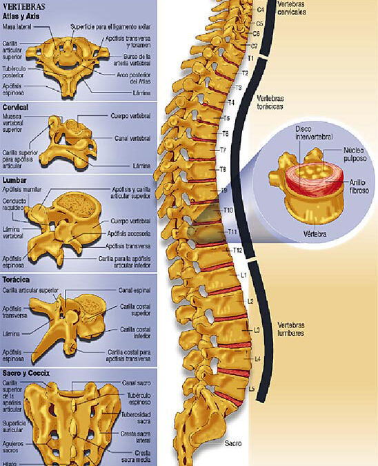 Todas las Vertebras y equivalente emocional (mapa)