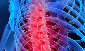 Mapa emocional vertebral