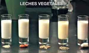 Lácteos vegetales gratuitos en casa
