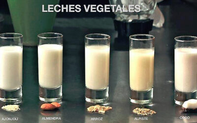 Lácteos vegetales gratuitos en casa