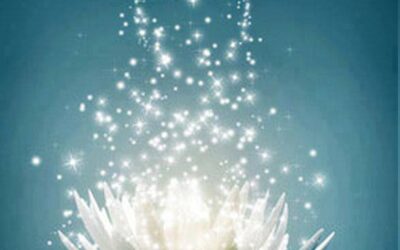 MEDITACIÓN VIDA COTIDIANA