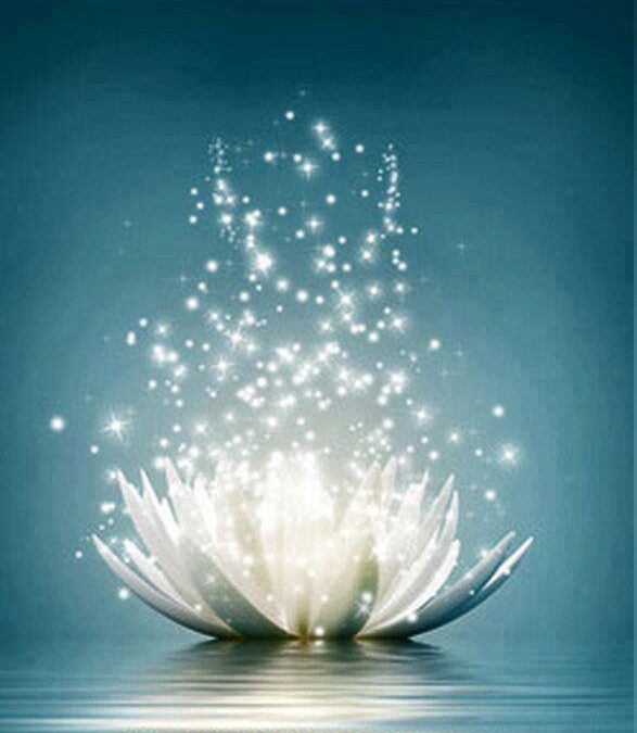 MEDITACIÓN VIDA COTIDIANA