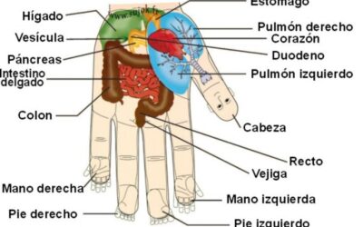 Terapia Presion en las manos