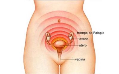Ciclo femenino y relación emocional