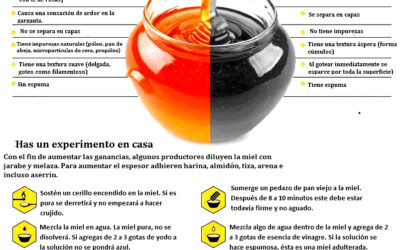 Elixir de miel de efecto extraordinario para tu salud