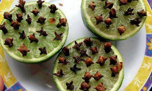 1 Repelente poderoso contra mosquitos