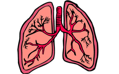 Rremedio para fortalecer y limpiar los pulmones