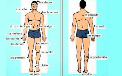 ¿QUE SIGNIFICA EL DOLOR EN TU CUERPO?