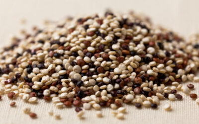 La Quinoa: El Tesoro Olvidado de los Incas
