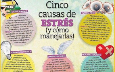 Las causas del Stress