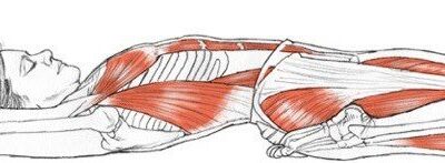 Leslie Kaminoff, Anatomía del Yoga