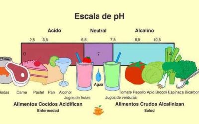 COMO HACER AGUA ALCALINA