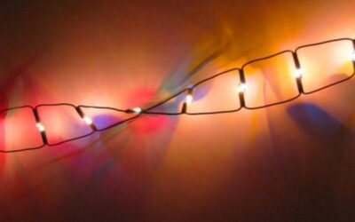 ¿VOLVER ATRÁS NUESTRO RELOJ DE ADN? LOS CIENTÍFICOS DICEN QUE SÍ