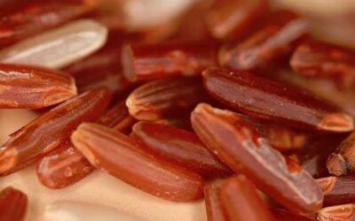 Arroz de levadura roja: para bajar los niveles de colesterol