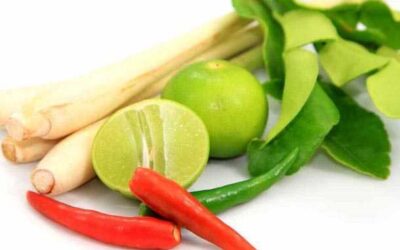 Remedios naturales para helicobacter pylori