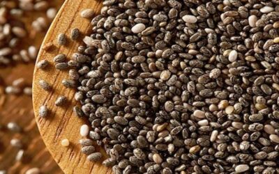 Semillas de Chia para el control de la obesidad