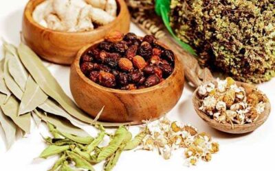 Los Remedios Herbales: Como Ingerir