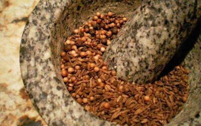 ESPECIAS DIGESTIVAS: GARAM MASALA