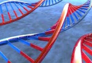 enfermedad hereditaria