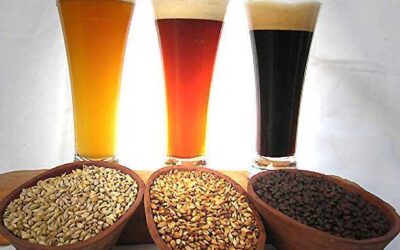 LEVADURA DE CERVEZA PARA LA PIEL Y BUENA SALUD EMOCIONAL