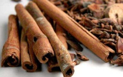 El Sanatodo Miel y Canela