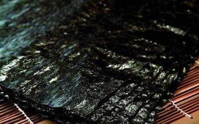 Alga nori