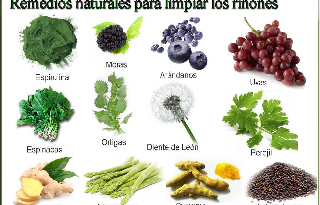 Los riñones remedios esenciales para cuidarlos