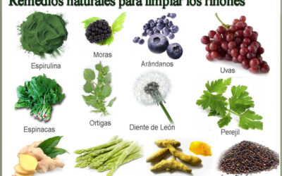 Los riñones remedios esenciales para cuidarlos
