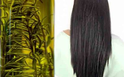Aceite de Romero Oscurecedor de canas