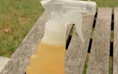 REPELENTE ANTIMOSQUITOS NATURAL