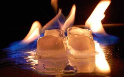 Regular la Temperatura corporal con la alimentación