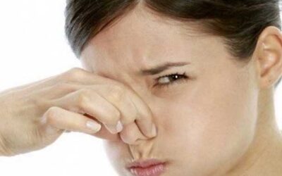 Como eliminar olores en la cocina